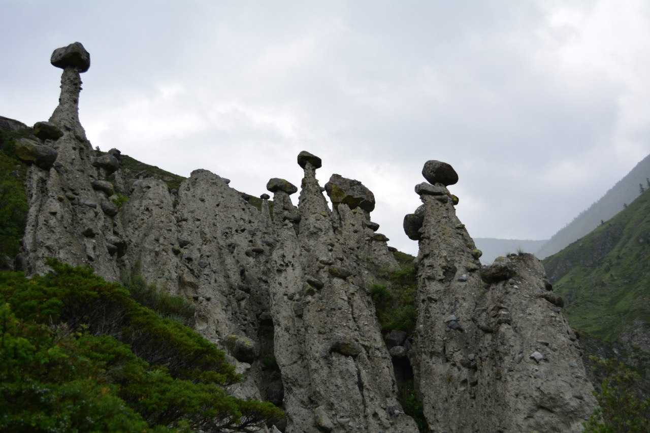 Каменные грибы в крыму