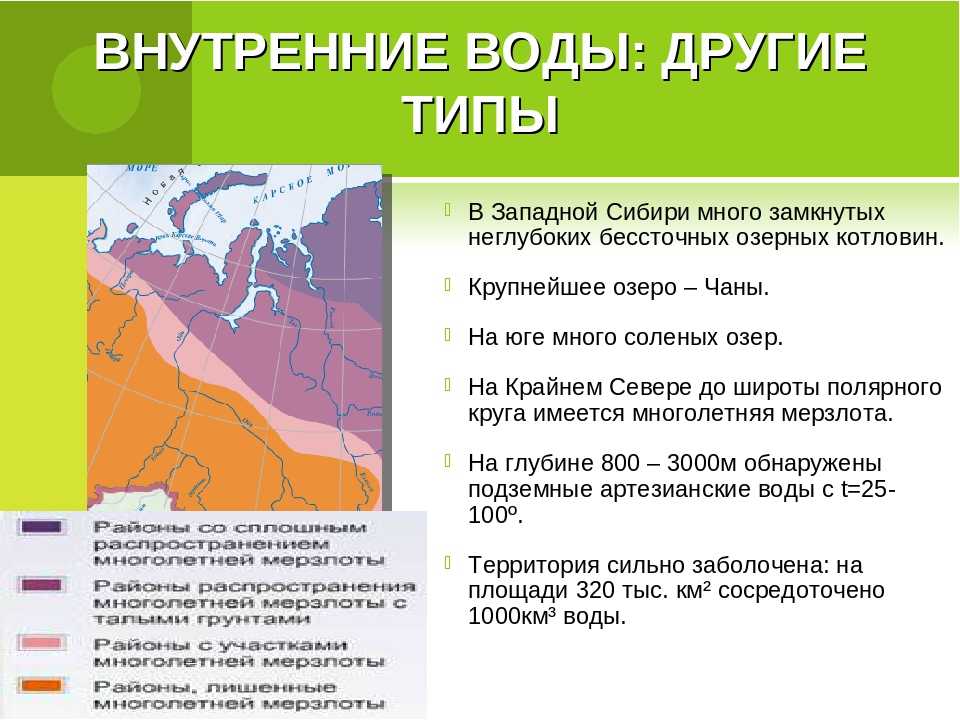 Какие особенности природы сибири зависят от обширности. Западно-Сибирская равнина презентация. Западная Сибирь презентация. Западно-Сибирская равнина 8 класс география. Западносибирскаяя равнина.