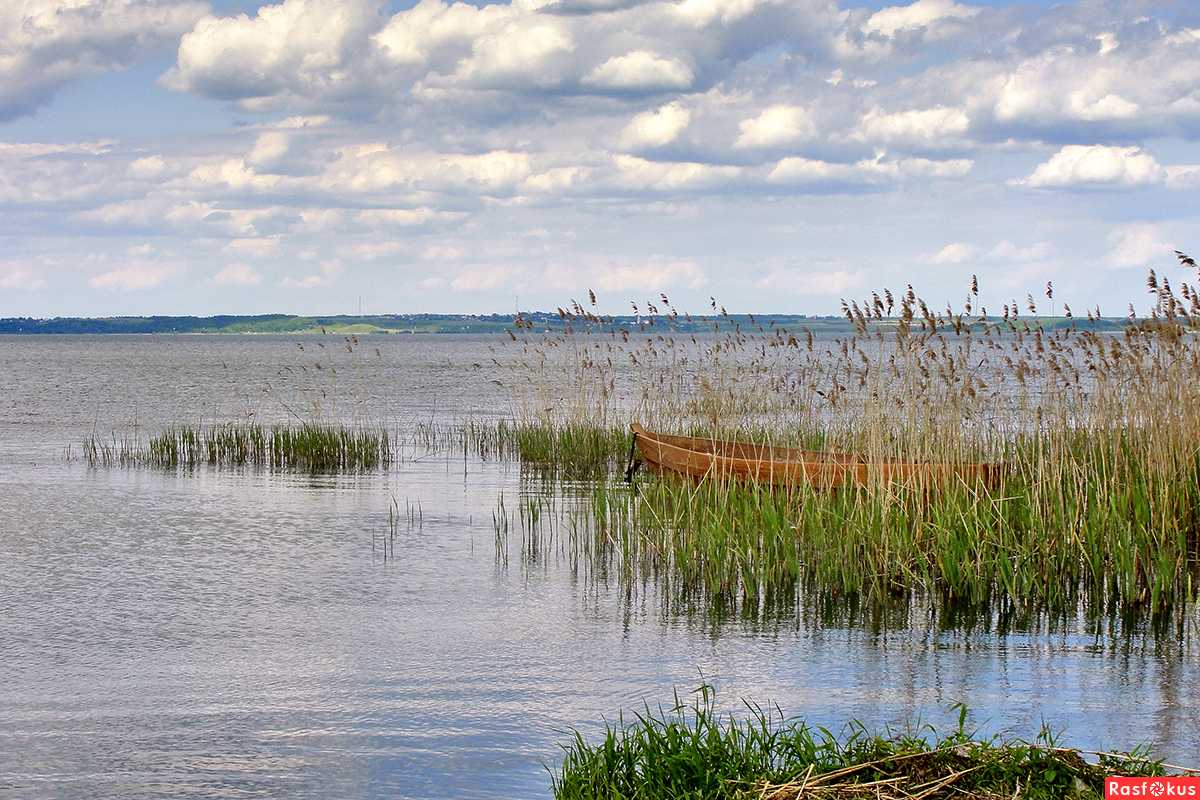 Правила рыбалки в ярославской области (2022 г.)