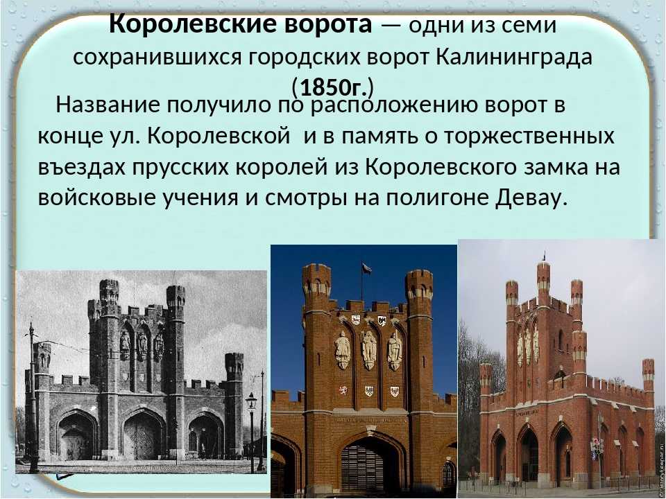 Калининград история города и достопримечательности
