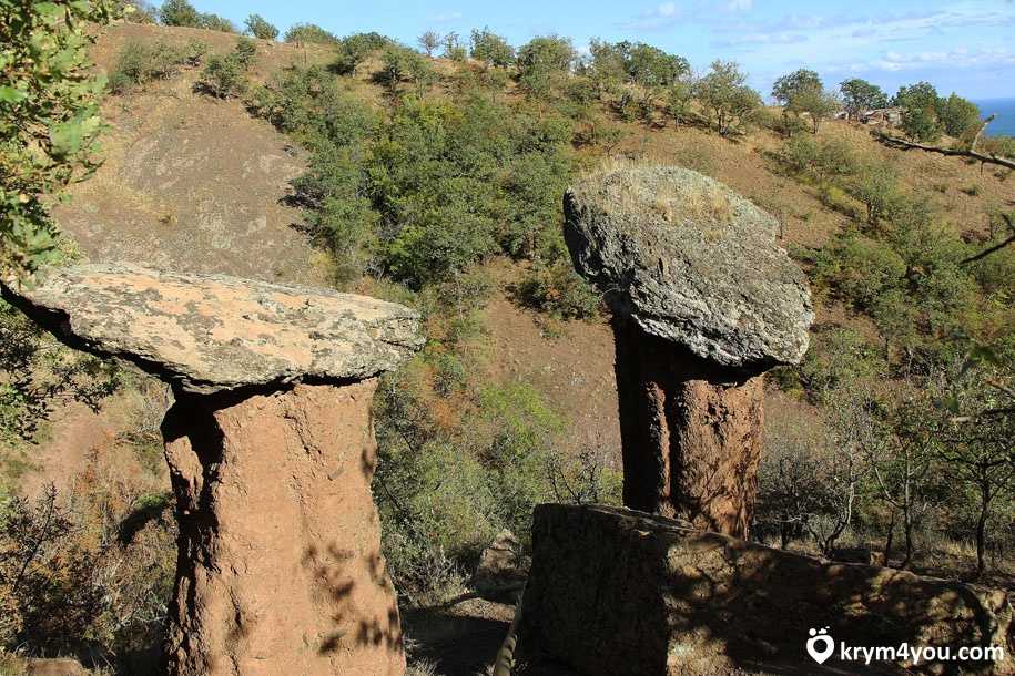 Каменные грибы сотера - достопримечательность алушты