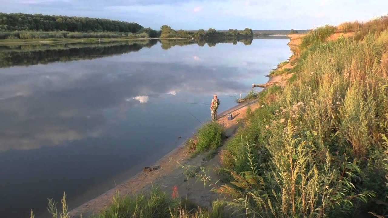 Рыбалка в рязанской области — fishingwiki