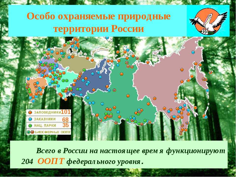 Национальные парки и заповедники татарстана: список :: syl.ru