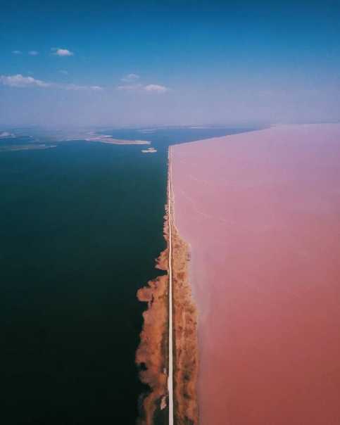 Любуемся розовым озером сасык-сиваш - где и когда делать фото
