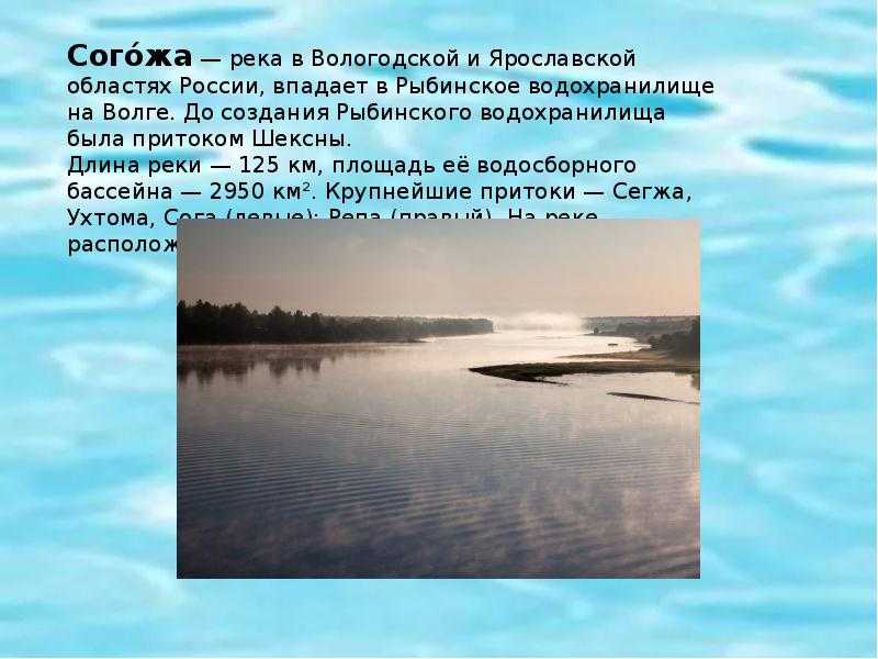 Рыбалка в ярославле и ярославской области: описание местных водоемов, какая рыба водится