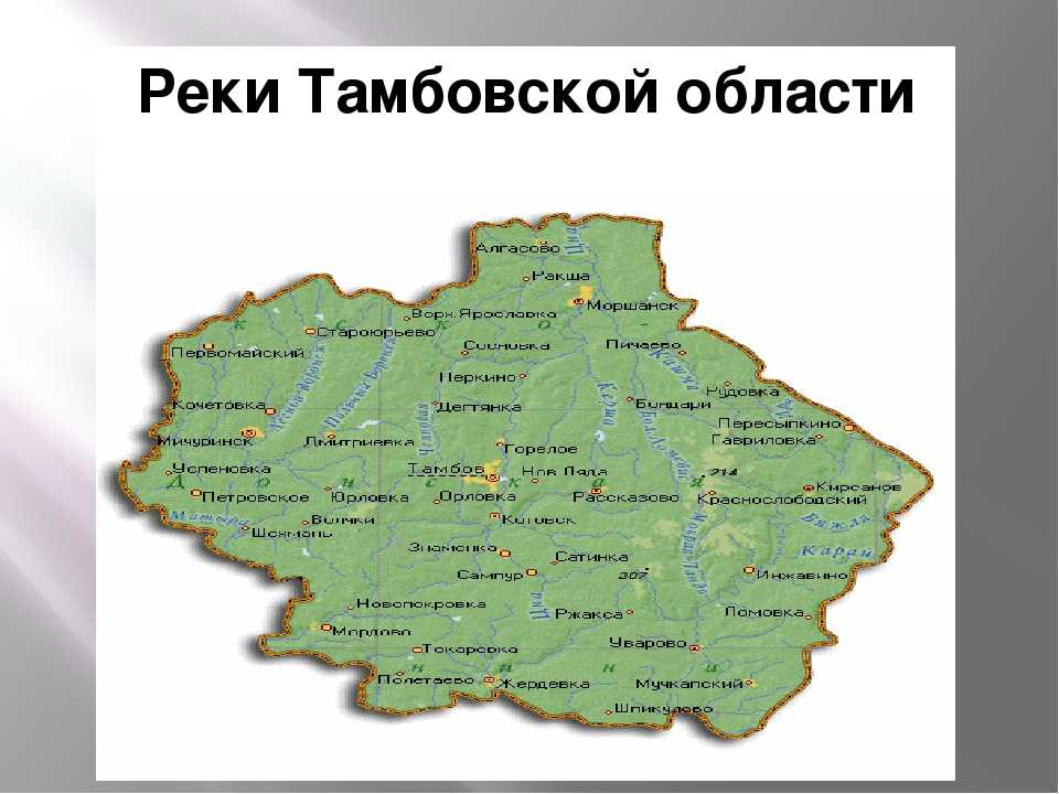 Тамбовская область – один из главных регионов российского Черноземья Водные богатства края – это реки и ручьи, пруды и озера По его территории протекает