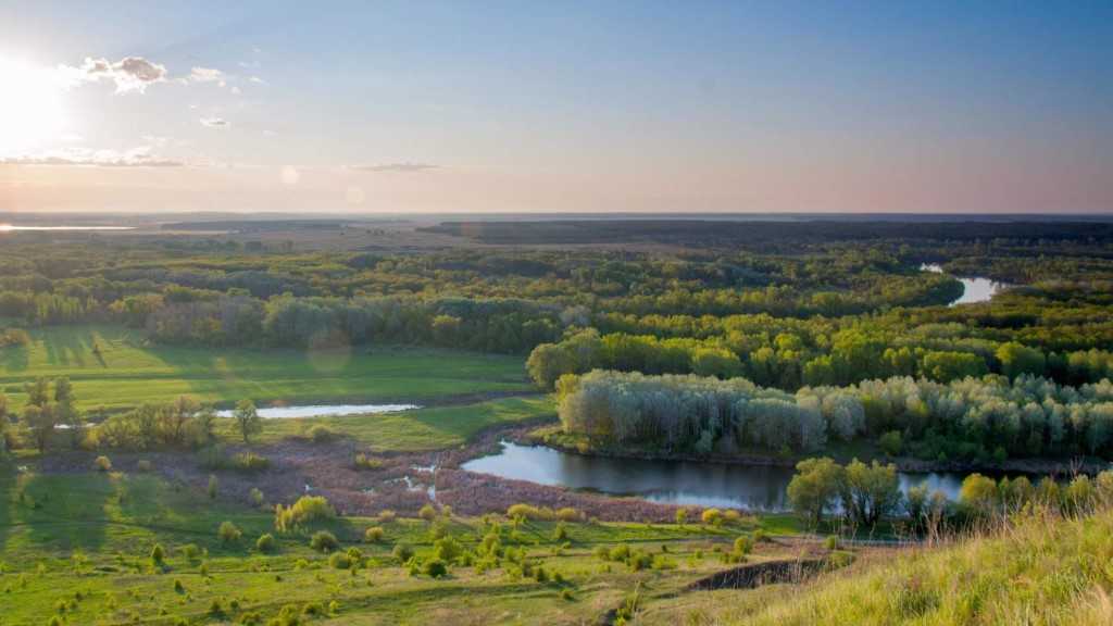 Волгоградская область – один из южных регионов нашей страны По всей территории с севера на юг протекает Волга, а также находится Волго-Донской канал,