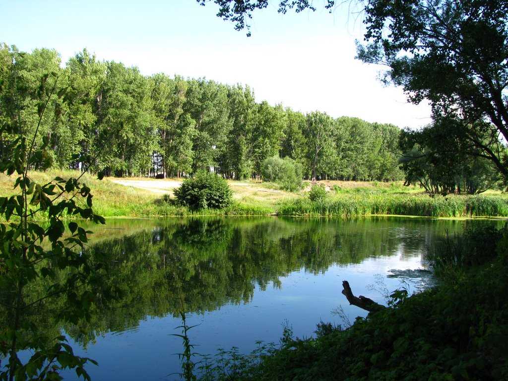 Озера белгородской области