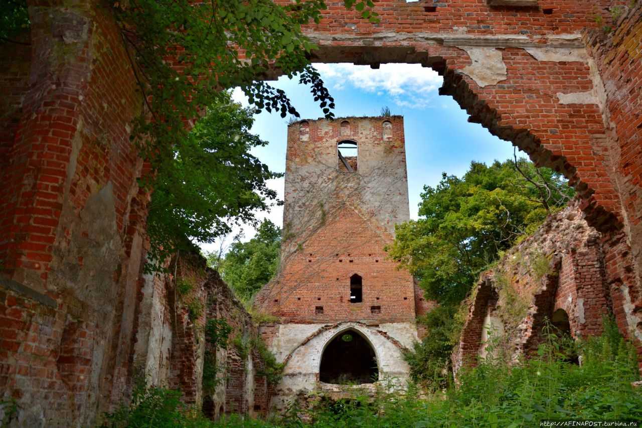 Руины замка шаакен  описание и фото - россия - прибалтика : калининградская область