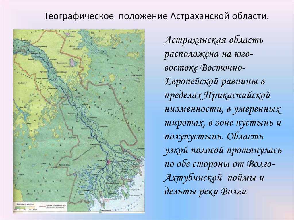 Астраханскую область называют Каспийской столицей, рыбным краем и центром водного туризма нашей страны Все потому, что через всю ее территорию проходит