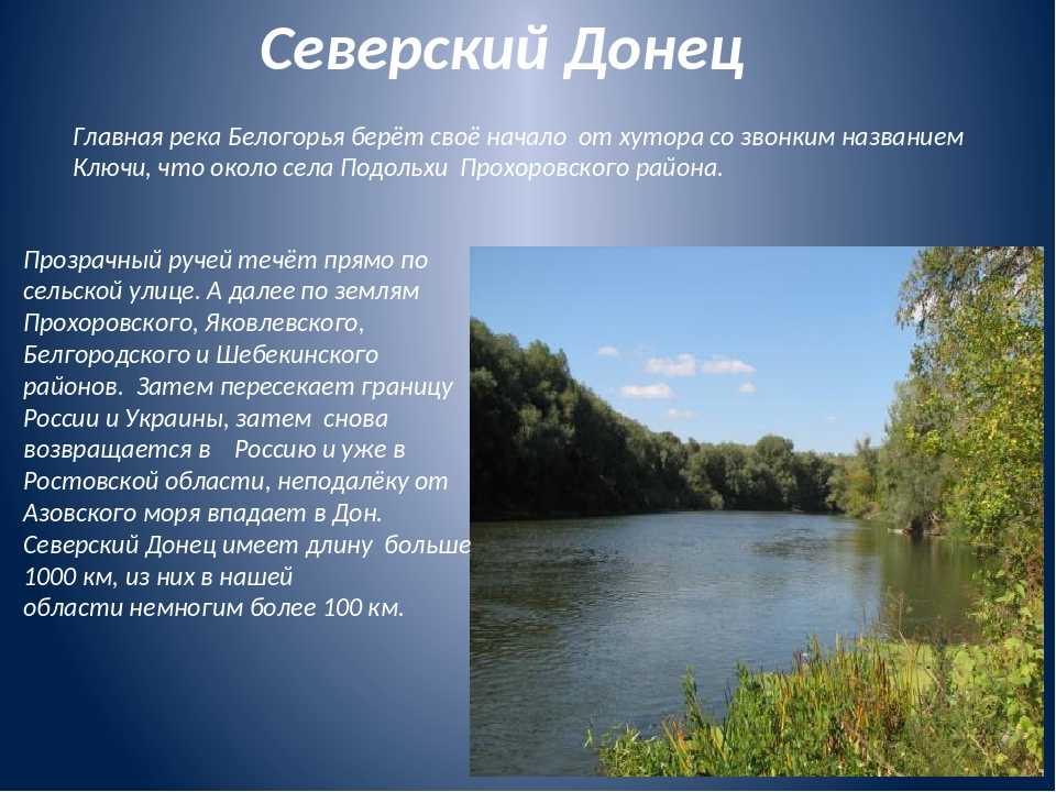 Белгородская область граничит с Украиной, и некоторые её реки протекают также и по территории соседней страны Водоёмы региона относятся к бассейнам