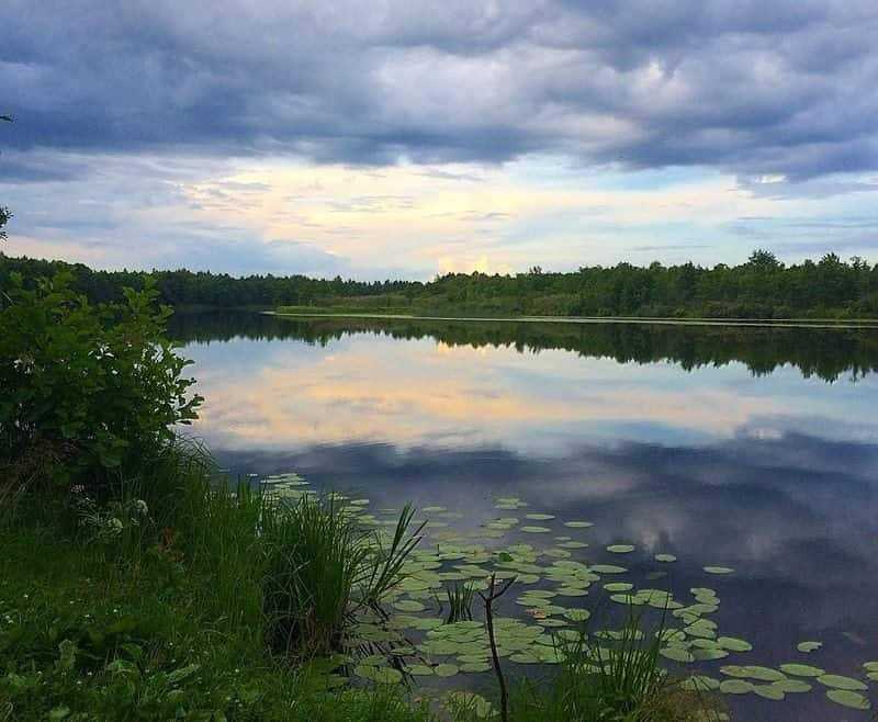 Озеро донузлав, мирный. рыбалка на озере, отзывы, отели рядом, фото, видео, как добраться на туристер.ру