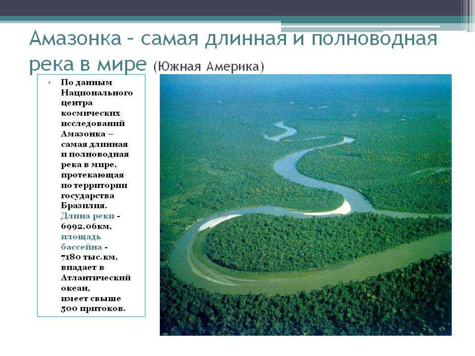 Река катунь – где находится на карте россии, флора и фауна