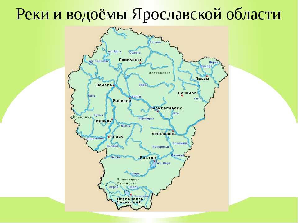 Ярославская область прекрасна своей историей, культурой и, конечно, природой В крае насчитывается более 4300 рек, из них 11 рек протяженностью от 100 до