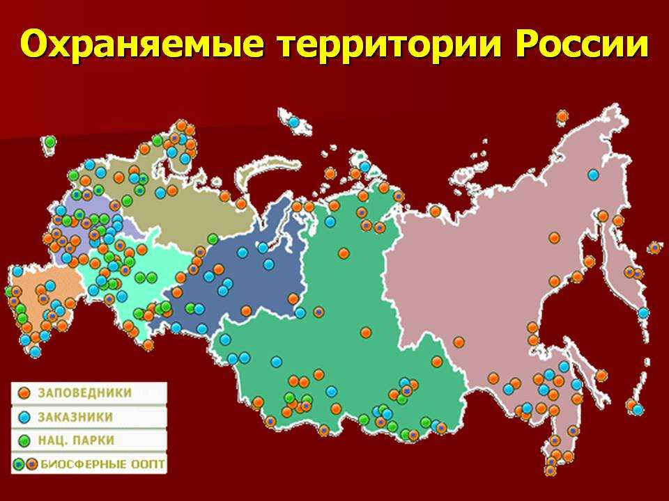 Заповедники и национальные парки казахстана - названия и список на карте