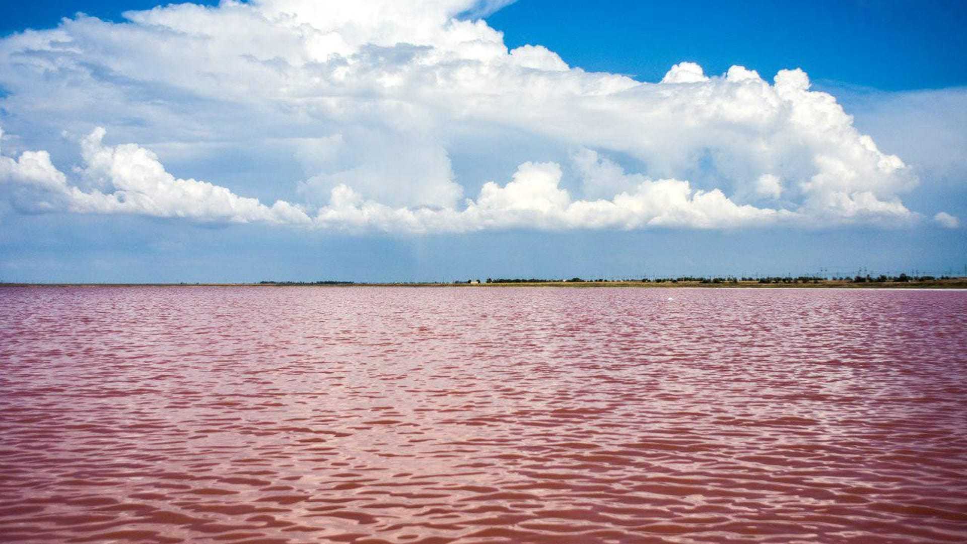 Розовое озеро в Крыму Саки