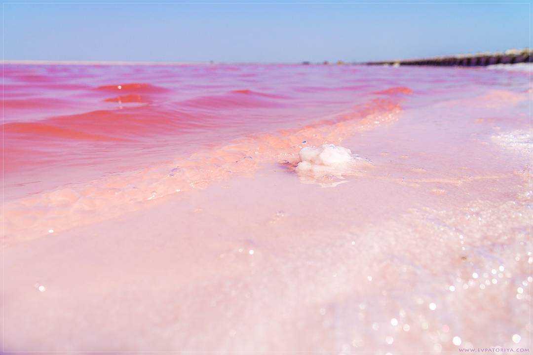 Сакское розовое озеро в крыму фото