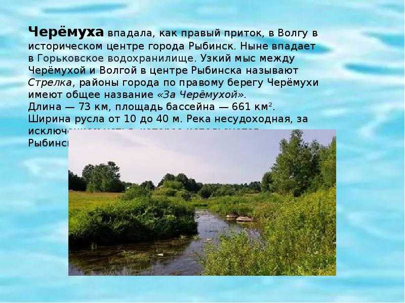 Рыбалка в ярославской области