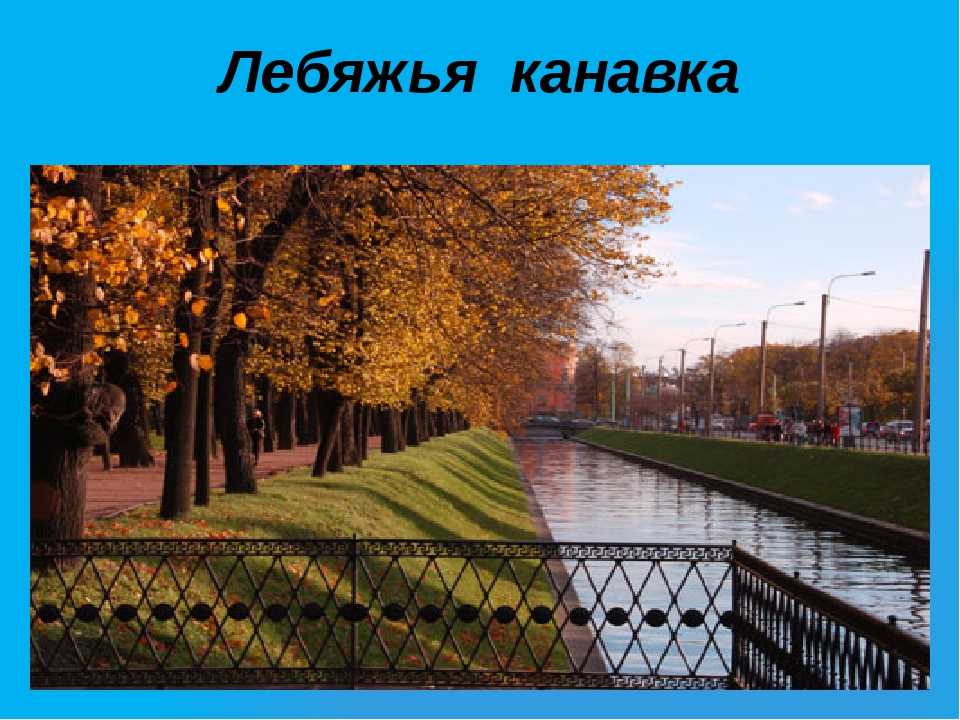Мосты петербурга: истории и легенды северной столицы