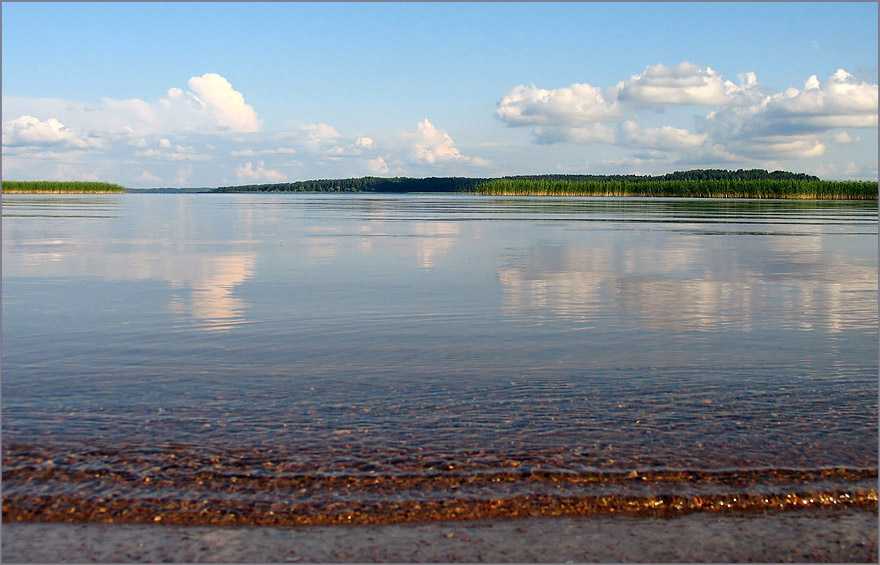 Самые рыбные места в ярославле и ярославской области, где стоит ловить рыбу
