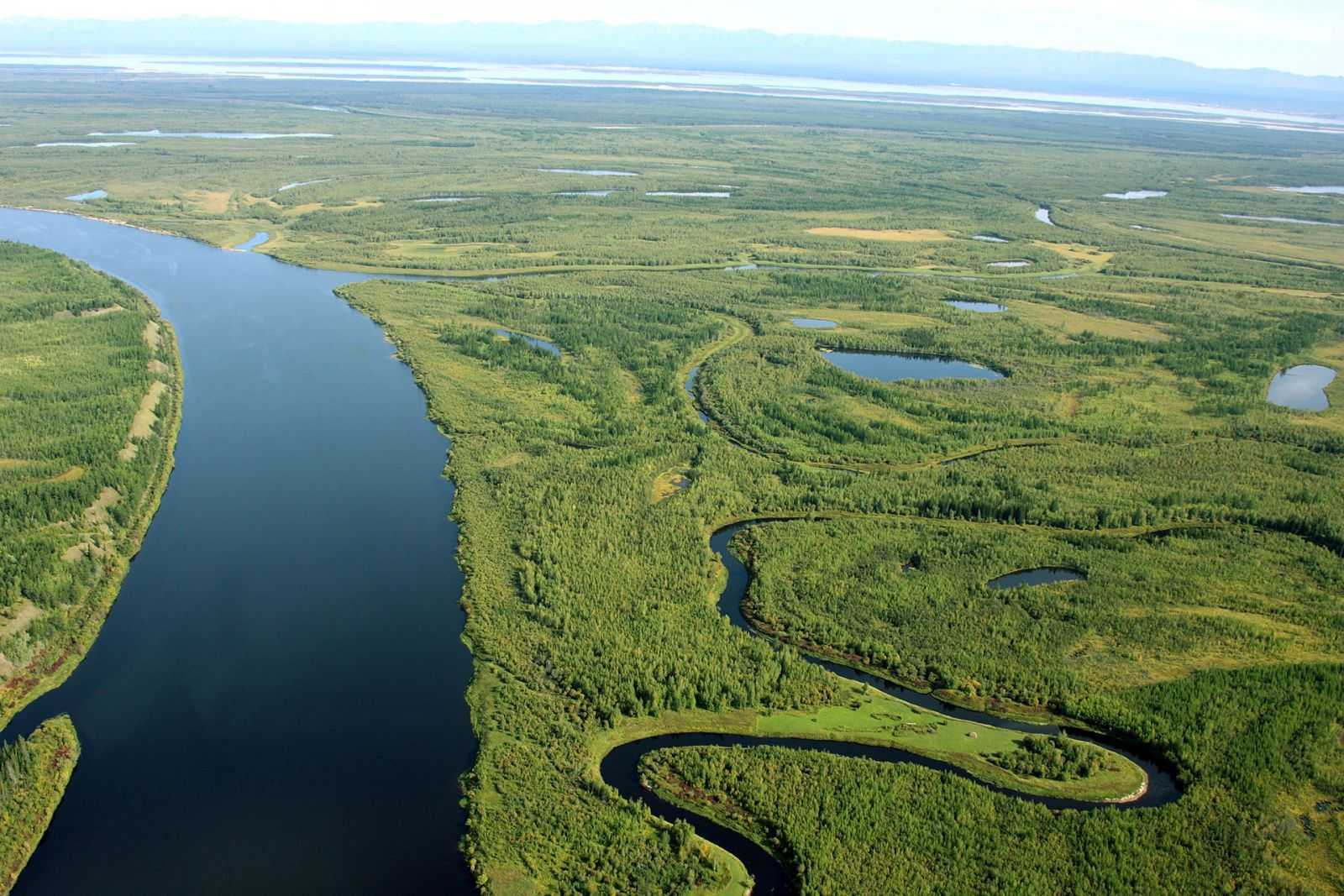 Какая самая длинная река протекает по территории россии