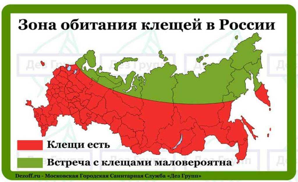 Эндемичные районы по клещевому энцефалиту в россии (2021-2022 год)