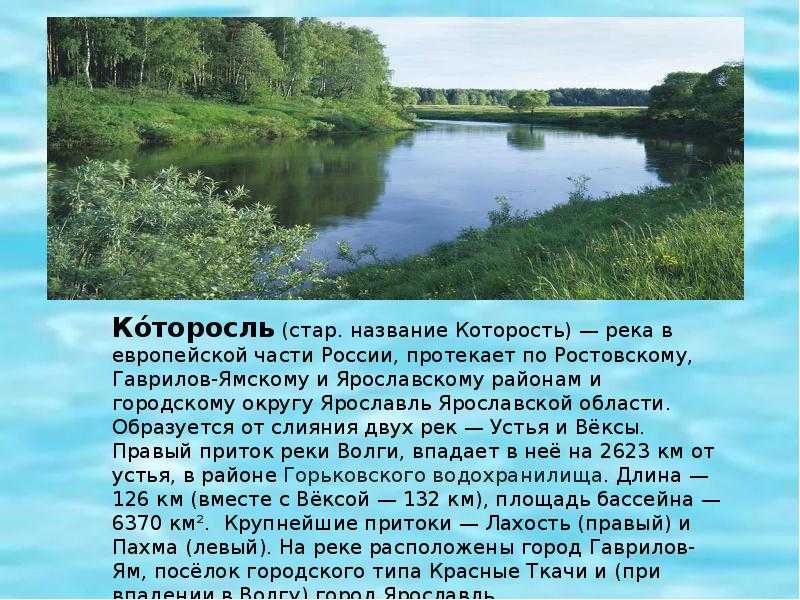 Ярославская область – 32 самых красивых места, куда можно съездить в выходные отдохнуть и что интересно посмотреть