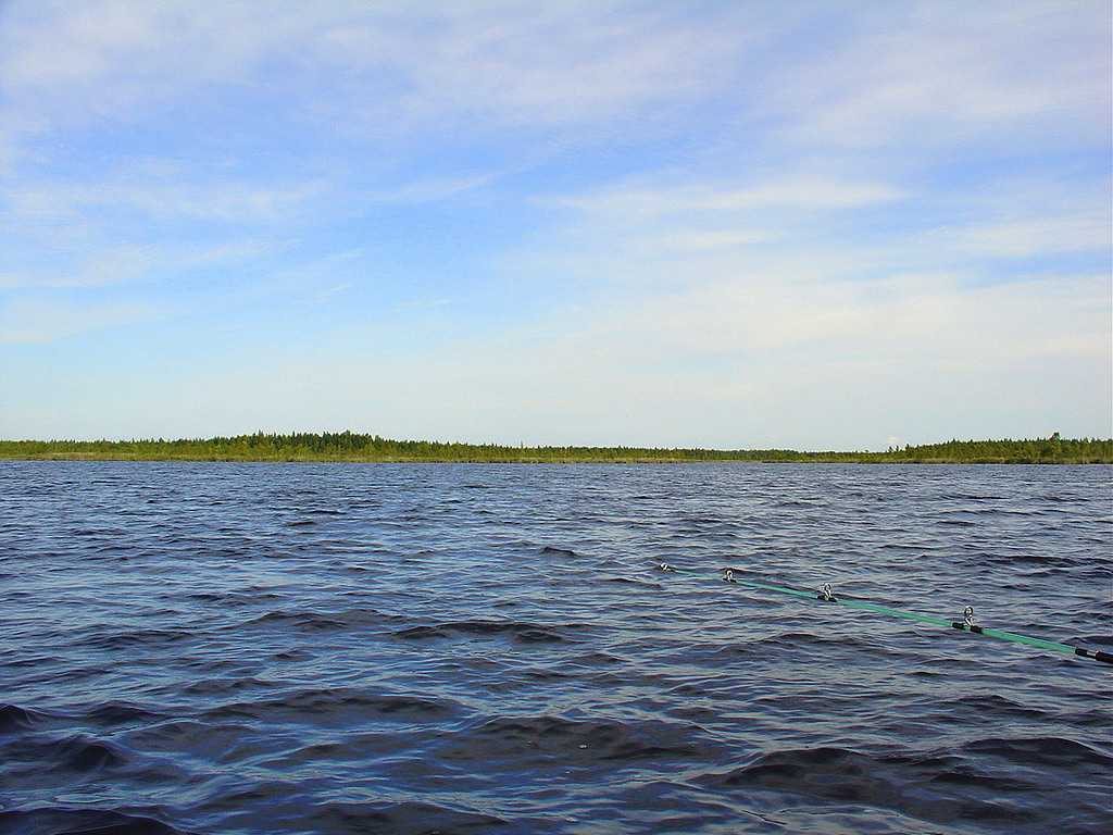 Озера крыма: фото с описанием, где находятся, расположение на карте, как добраться, розовые, соленые, пресные.