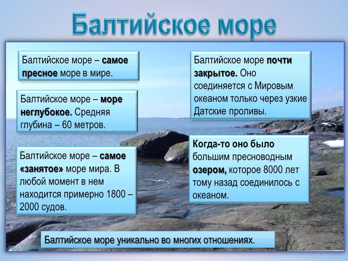 Соленость воды балтийского моря: сколько составляет в процентах (средняя, поверхностных вод), каково распределение по областям?