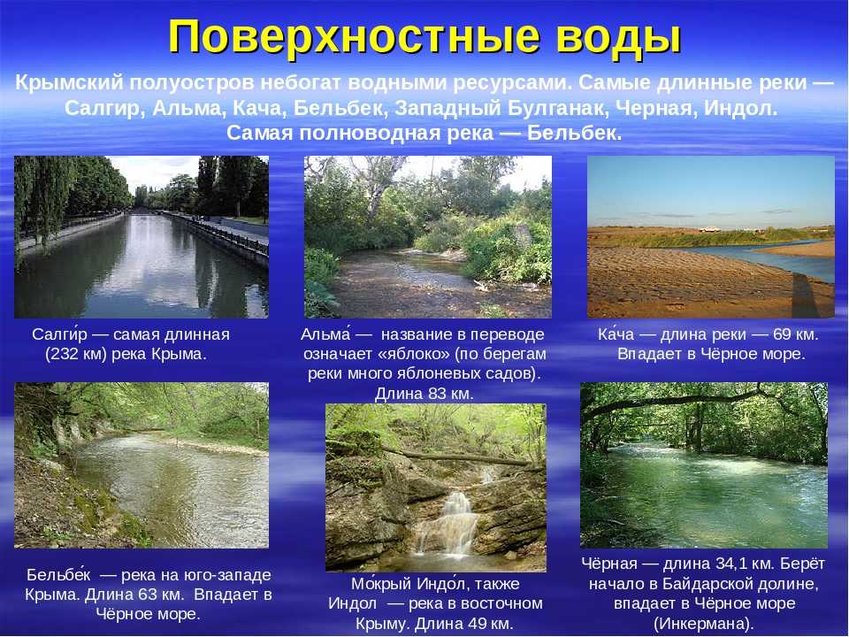 Река катунь на карте россии – растения и животные | где алтай?