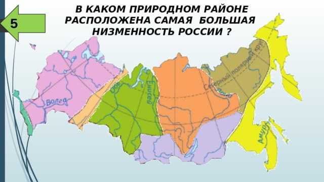Крупные природные районы россии - названия, характеристика и карта — природа мира