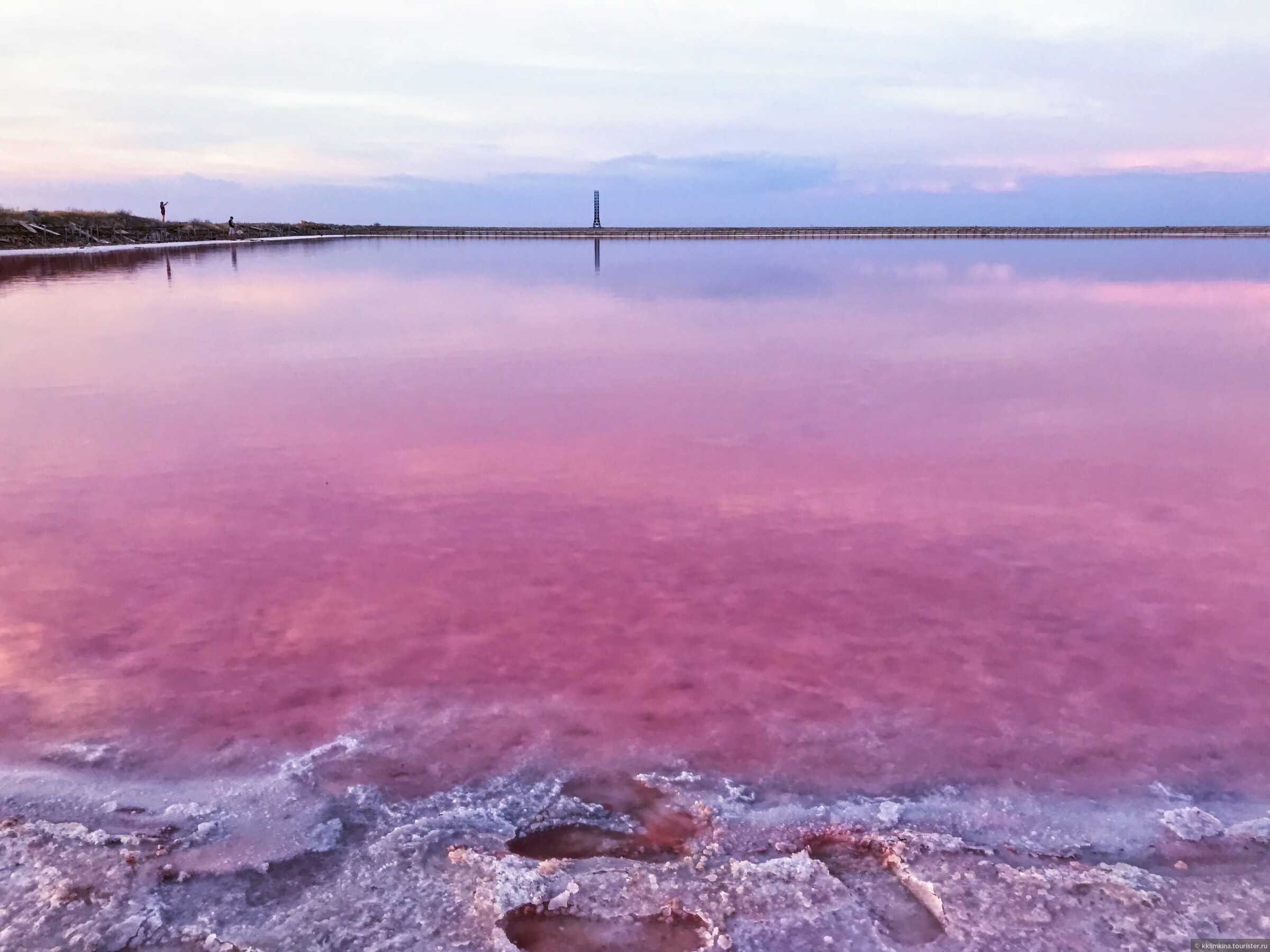 Розовое озеро саки. Сасык Сиваш озеро. Розовое озеро в Крыму Сасык Сиваш. Озеро Сасык-Сиваш, Крым, Евпатория. Сасык Сиваш 2022.