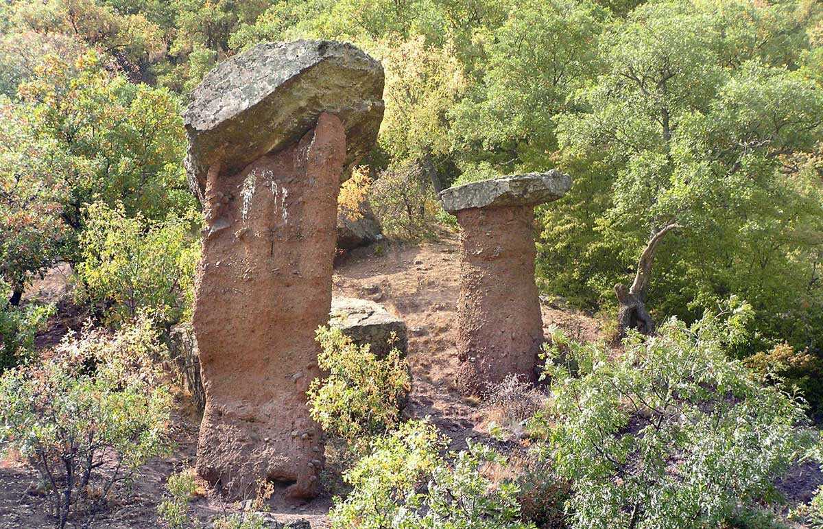 Каменные грибы (долина сотеры), алушта. фото, видео, как добраться — туристер.ру