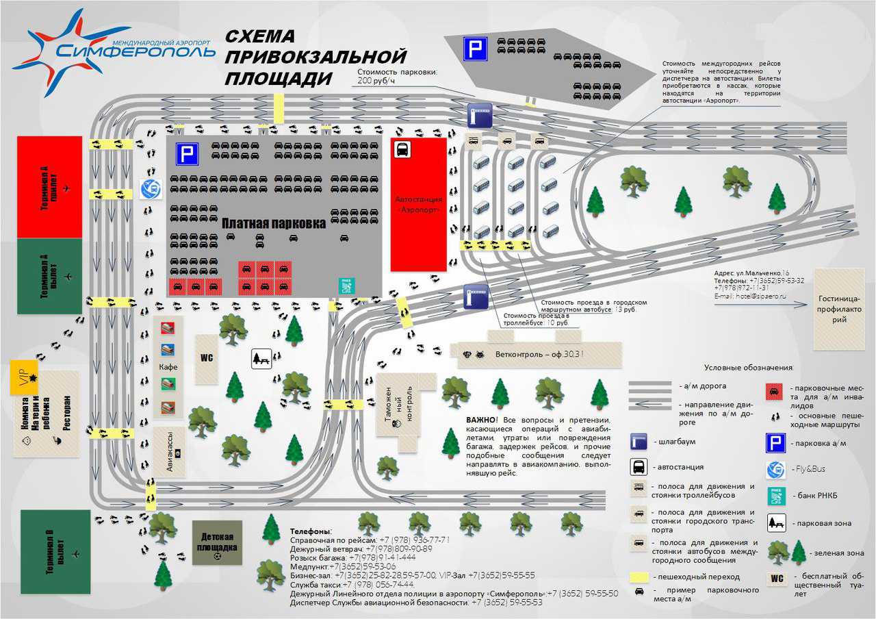 Как добраться из аэропорта симферополя до севастополя: на автобусе, поезде, такси, арендованном автомобиле, с помощью трансфера