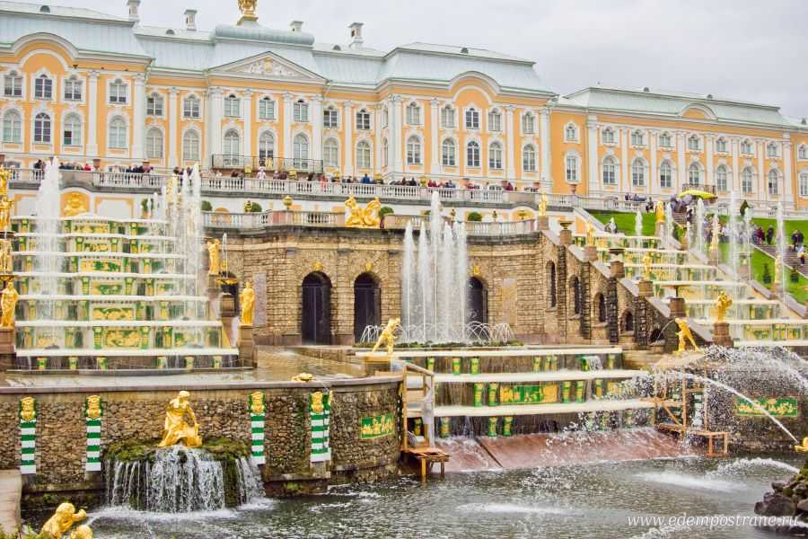 Большой петергофский дворец, санкт-петербург: фото, описание, музеи, билеты