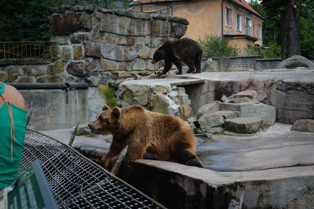 Крупнейшие зоопарки россии
