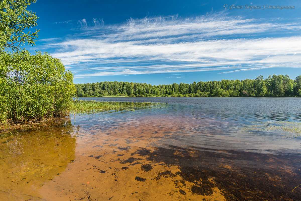 Вологодская область – одна из самых богатых реками и озерами областей России В ней протекает множество рек, большинство которых является частью водного бассейна Северной Двины