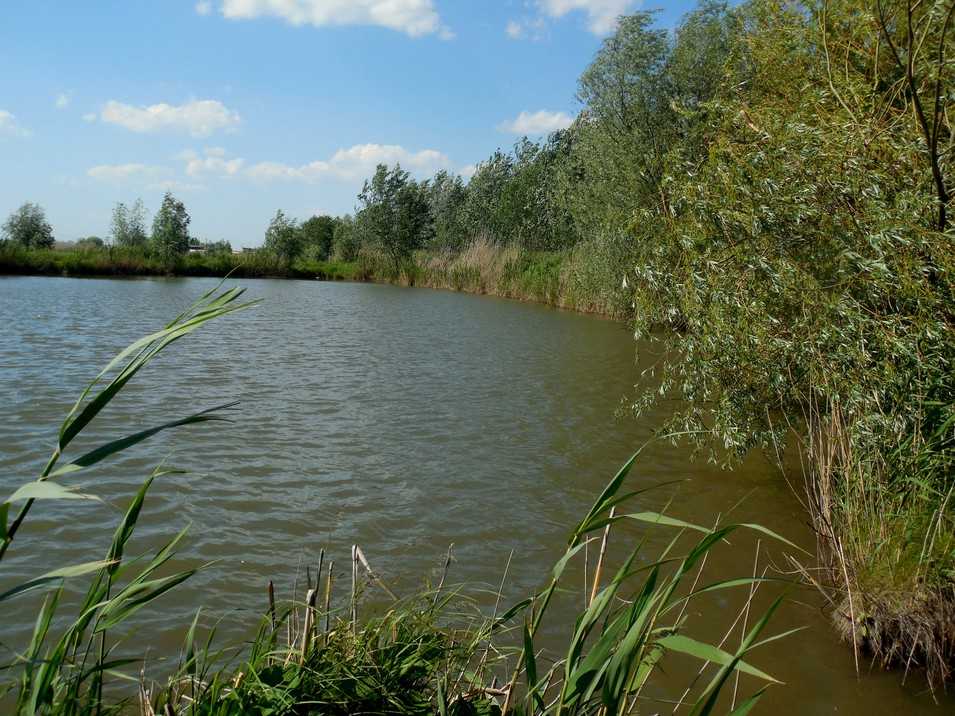 Чернореченское водохранилище (крым) — место для рыбака