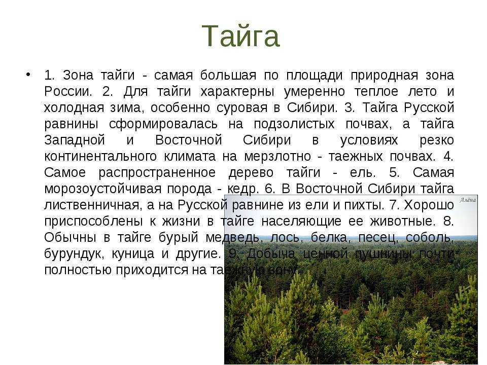 Кировская область обладает немалыми природными богатствами Более половины территории края занимают леса южной и средней тайги Среди лесных глухих мест