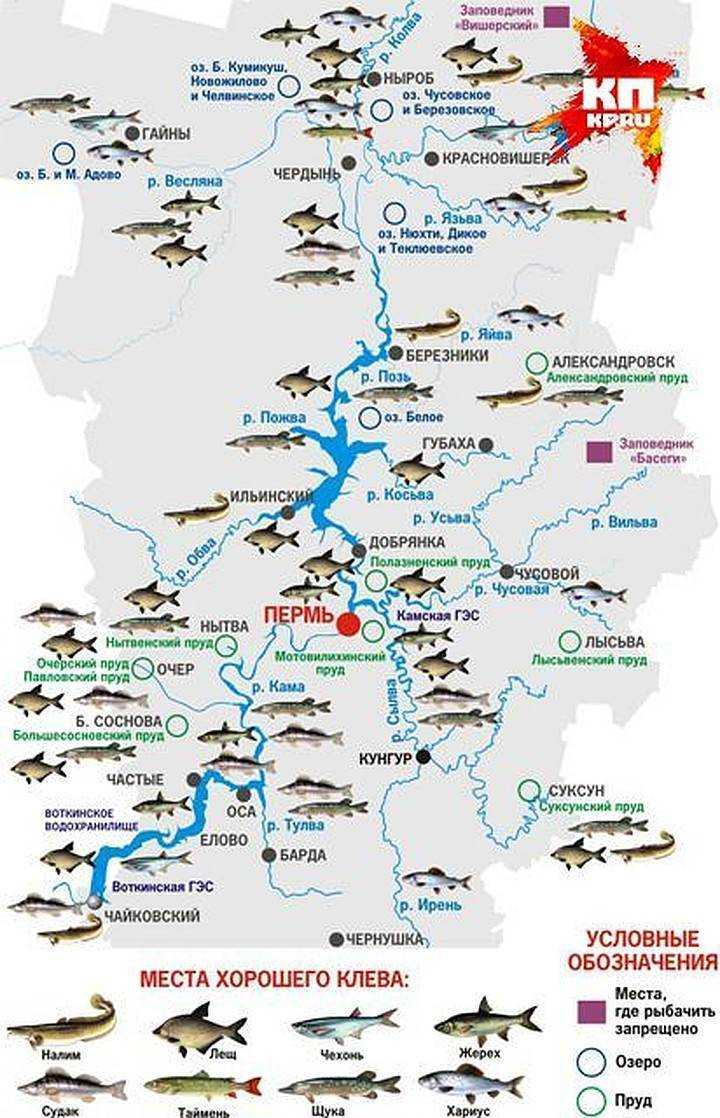 Реки свердловской области: сплавы и рыбалка