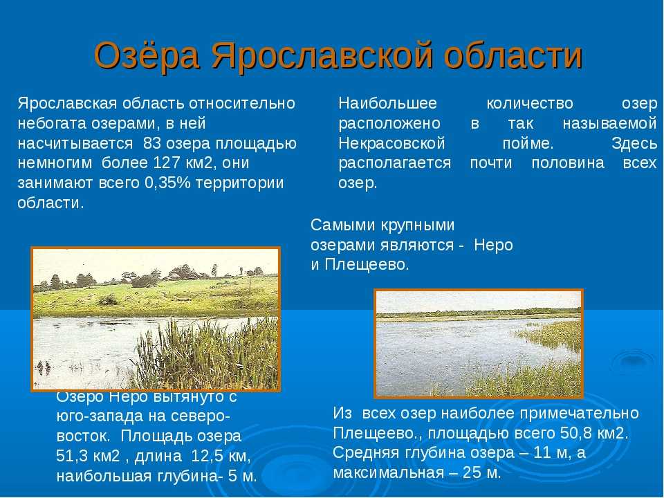 Правила рыбалки в ярославской области в 2022 г.