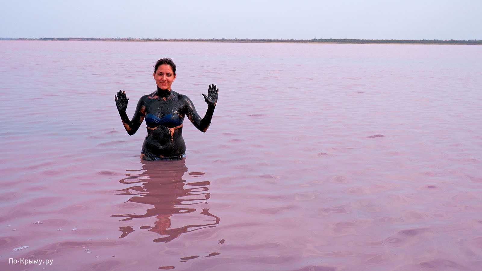 Розовые озера в крыму где находится, как доехать, когда вода становится розовой, фото. керчь, евпатория