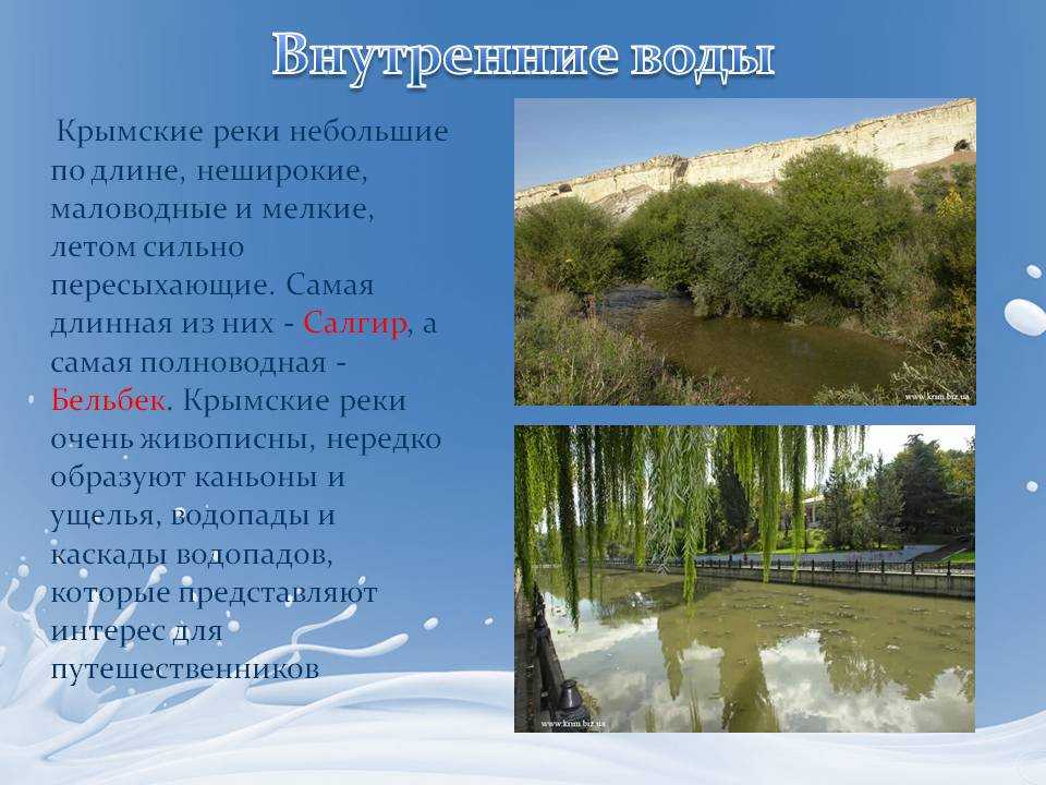 Река десна: характеристика, притоки, исток и устье :: syl.ru