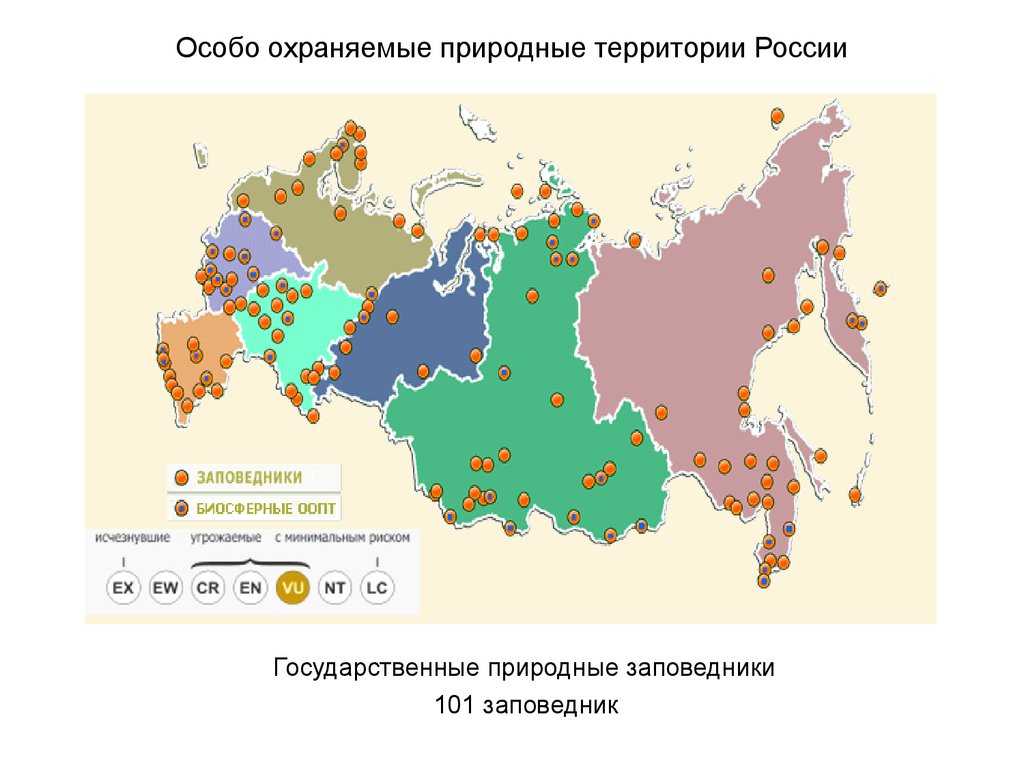 Заповедники россии: список, карта, информация, количество