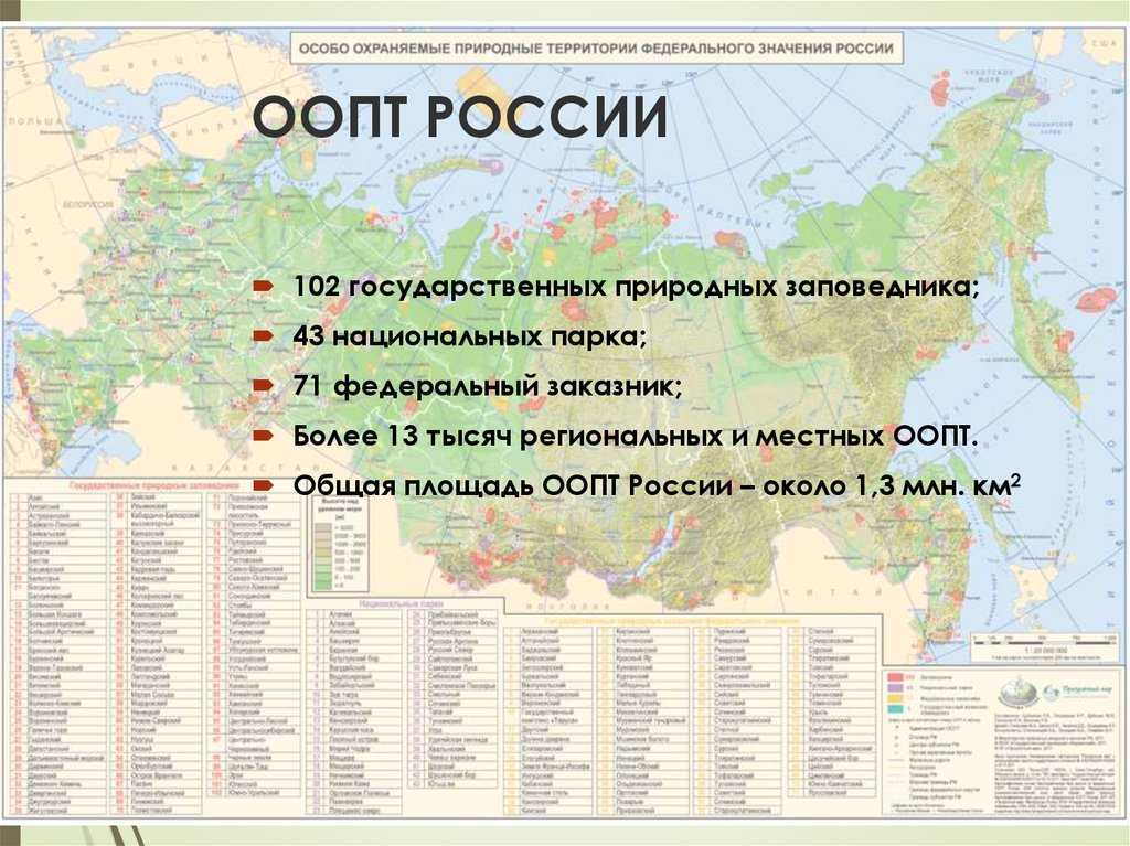 Топ-15 известных национальных парков и заповедников россии — суточно.ру