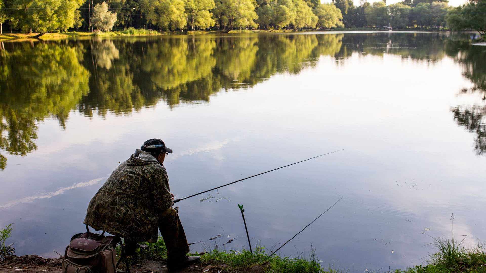 Платная рыбалка и рыболовные туры ярославской области