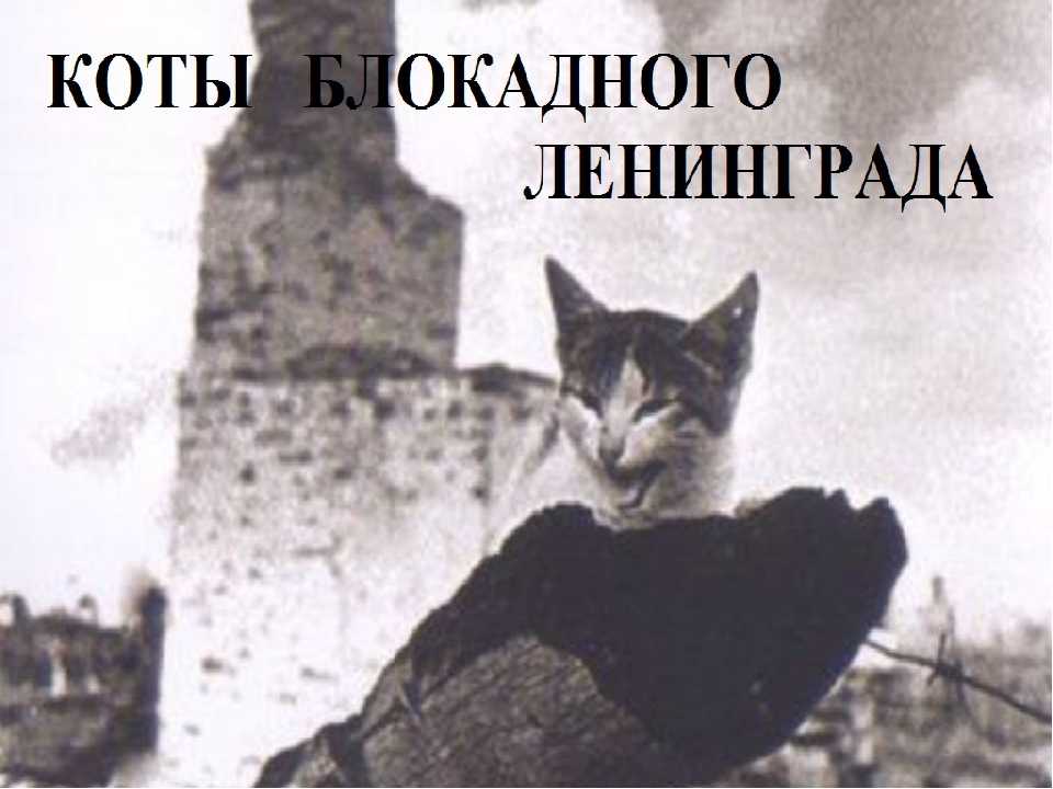 Памятник коту семену в мурманске: описание, история, адрес :: syl.ru