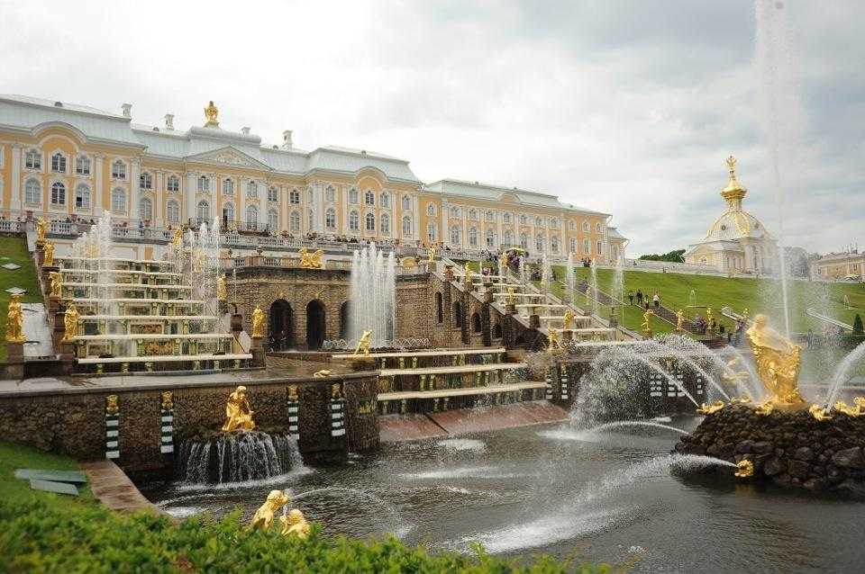 Большой дворец в петергофе: экспозиции, адрес, телефоны, время работы, сайт музея
