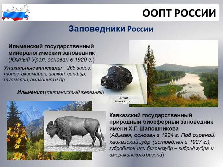 Особо охраняемые природные территории россии - понятие, виды объектов и назначение