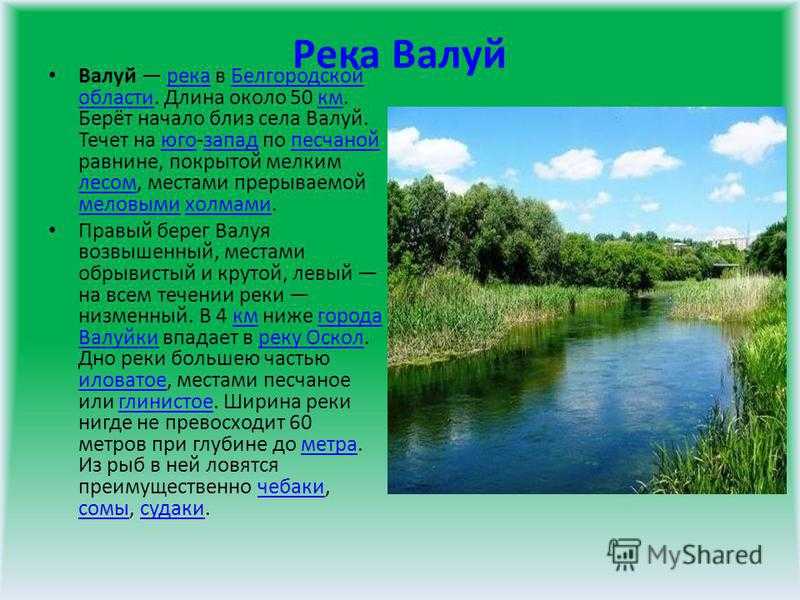 Реки белгородской области: список, описание, фото